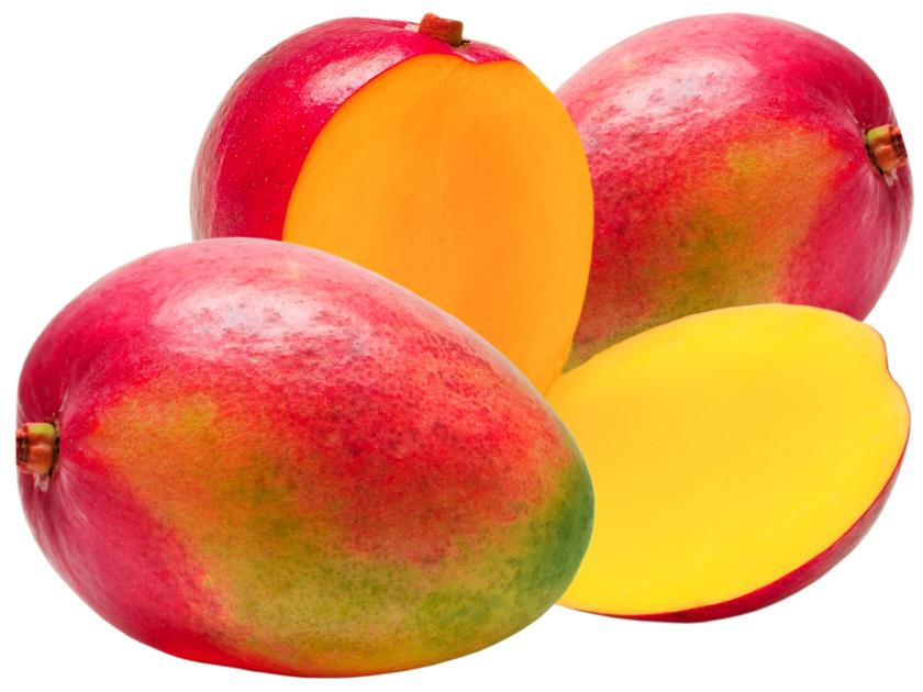 dw6900 mango