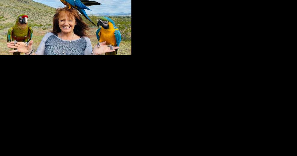 Bird owners flock to this Mesa store - Vimarsana News