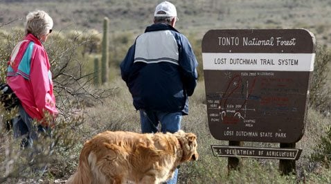 are dogs allowed at lost dutchman state park