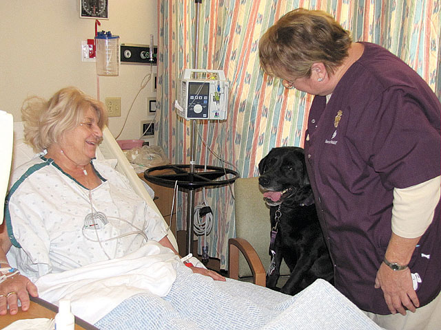 Pet Therapy Program Produces Tail Wagging Smiles West Valley