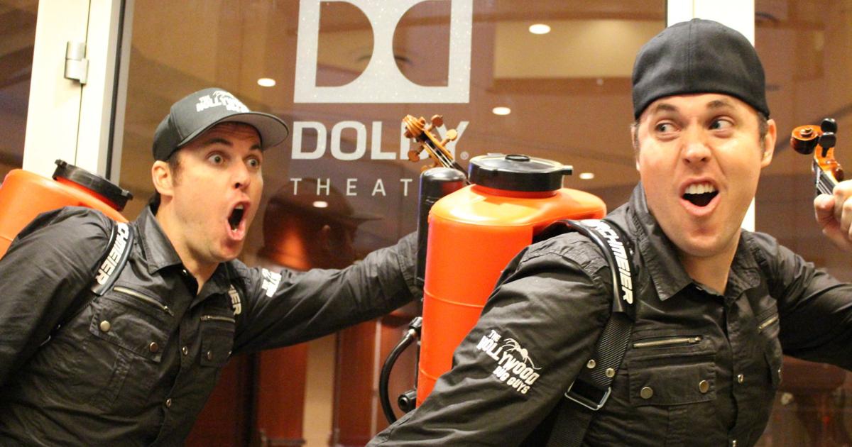 Mesa brothers aren't fiddling around with pests or music | Money | eastvalleytribune.com