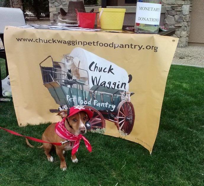 Charity Helps Feed Pets When Their Owners Can T Pets
