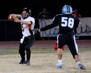 Desert Edge Feasts On Cactus Mistakes Varsityxtra