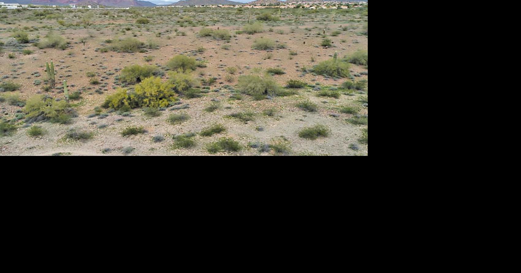 Blandford bid exceeds Mesa’s hopes for desert tract News