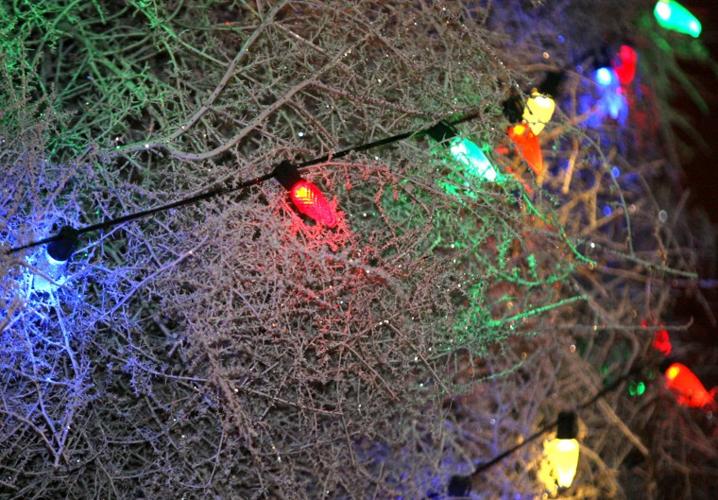 Chandler Parade Of Lights And Tumbleweed Tree Lighting 