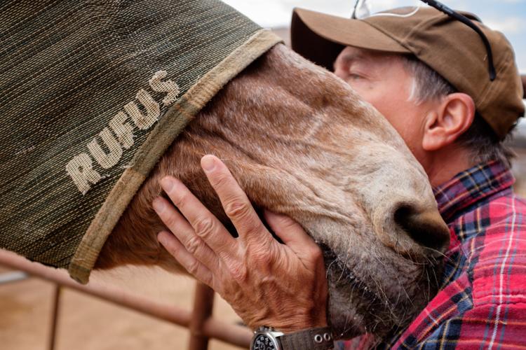 Ranch gives horses a second chance Arizona eastvalleytribune com