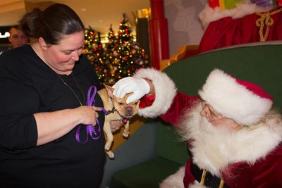 Four Legged Creatures Flock To Fashion Center Santa East Valley Local News Eastvalleytribune Com