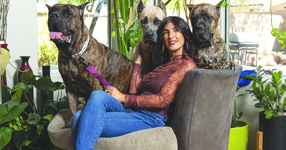 Gilbert breeder, authorities clash over puppy tails
