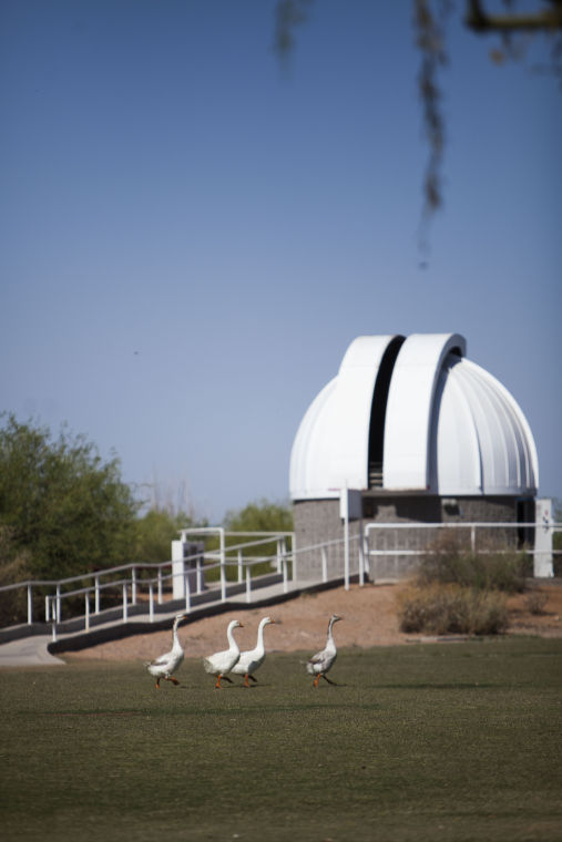 Photos: Riparian Preserve At Water Ranch 