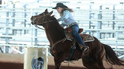 Q.C. planning Horseshoe Park rodeo events | News | eastvalleytribune.com