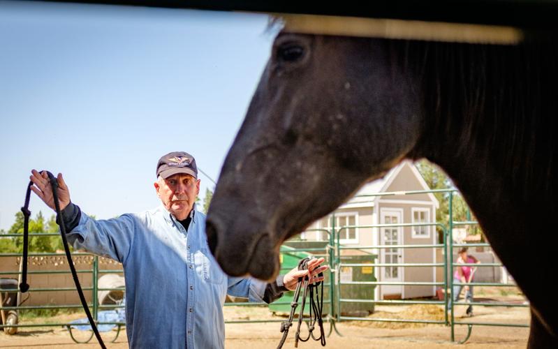 Ranch gives horses a second chance Arizona eastvalleytribune com