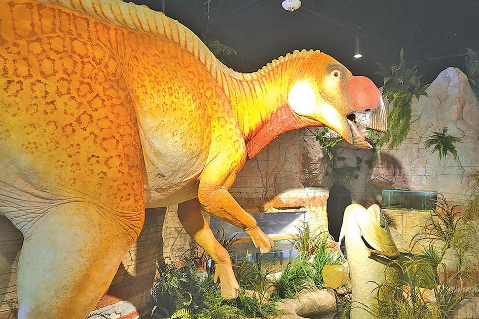 Mesa Historical Museum Events 2022