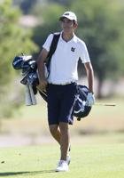 State golf: Hamilton's Park leads Huskies to third-place finish