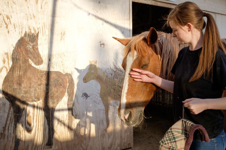 Ranch gives horses a second chance Arizona eastvalleytribune com