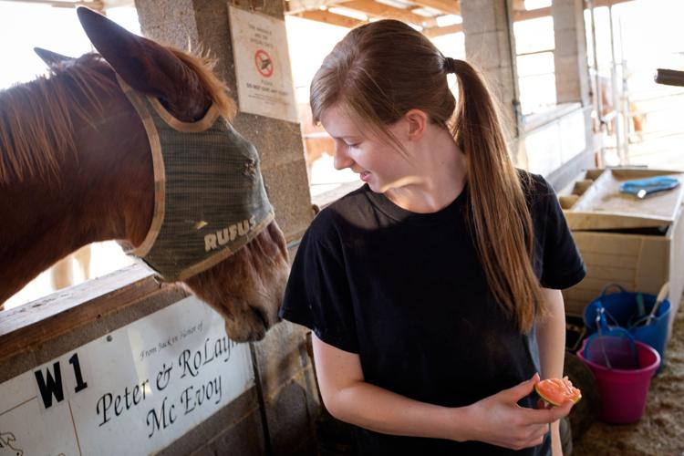 Ranch gives horses a second chance Arizona eastvalleytribune com