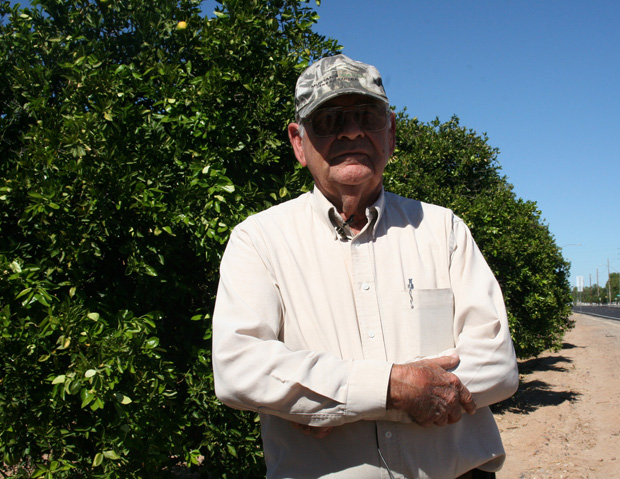 Valley citrus farmers face a host of challenges in ...