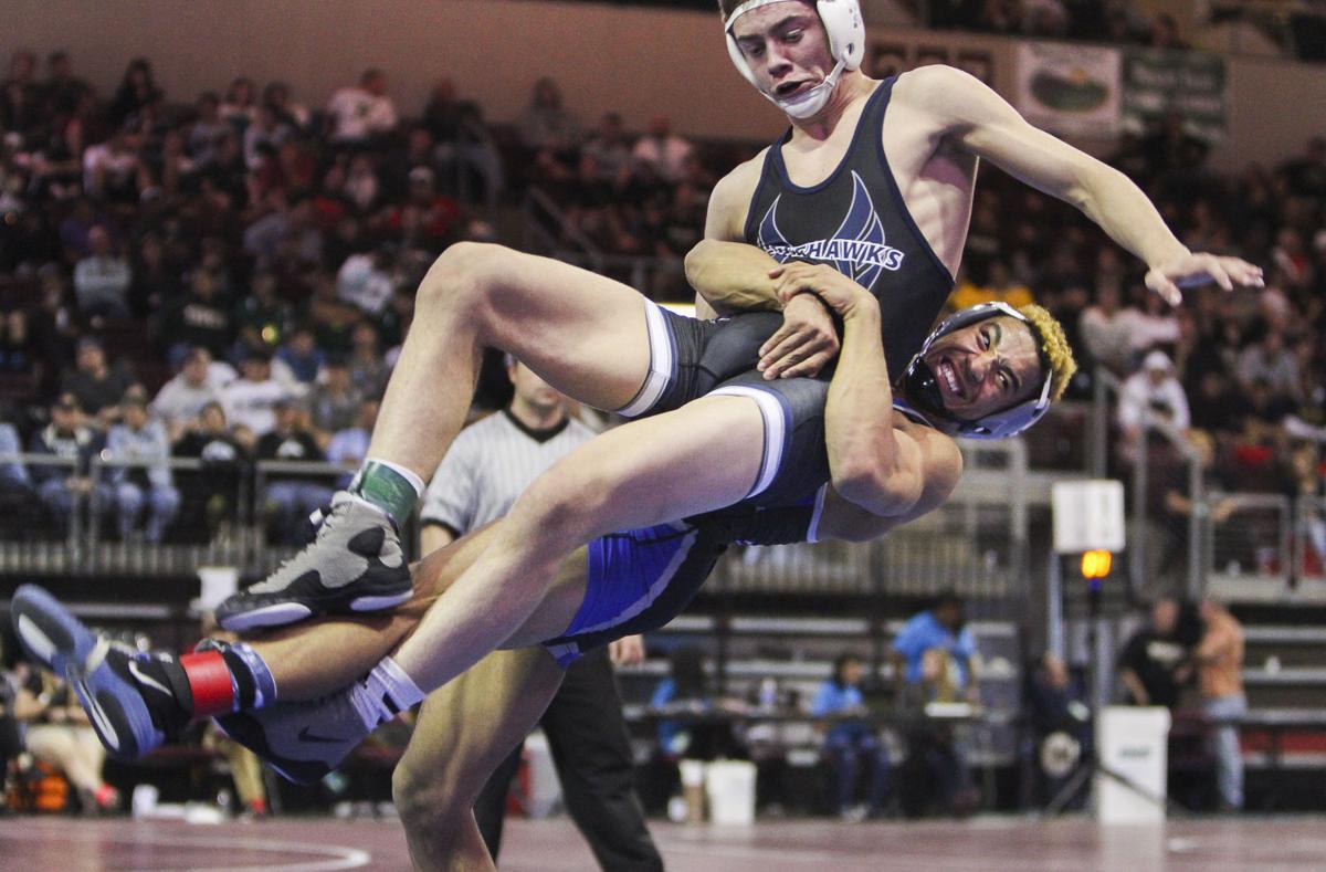 Photos DI and DII Wrestling State Championships State