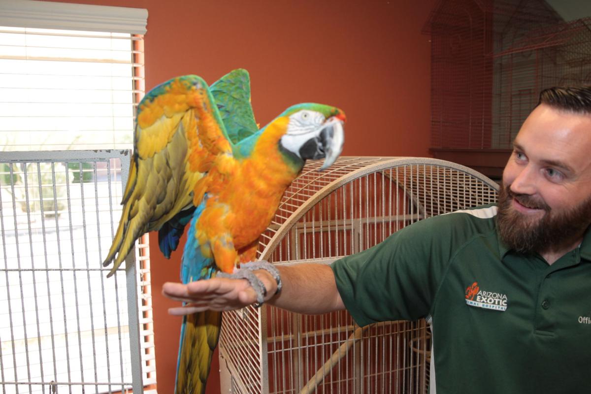 Mesa's exotic animal hospital is a friend to unusual pets | Arizona |  