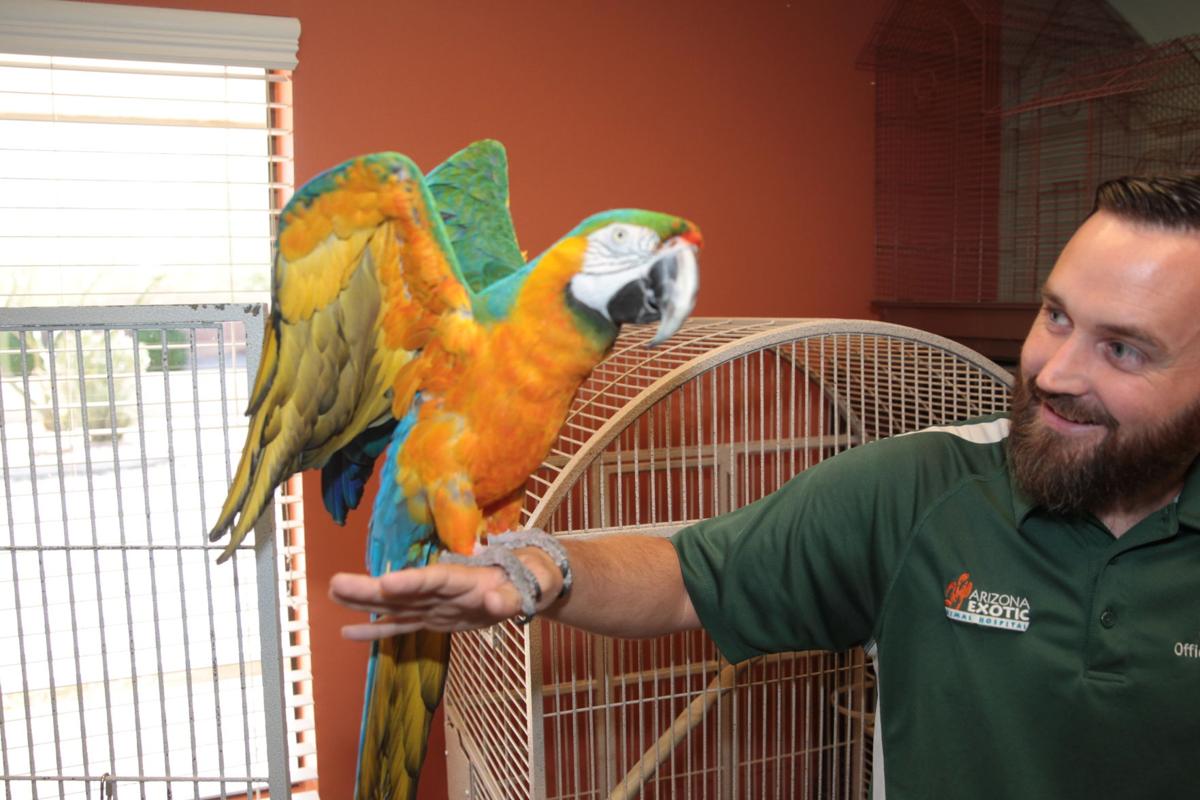 Mesa's exotic animal hospital is a friend to unusual pets | Arizona | Mesa's exotic animal hospital is a friend to unusual pets | Arizona |