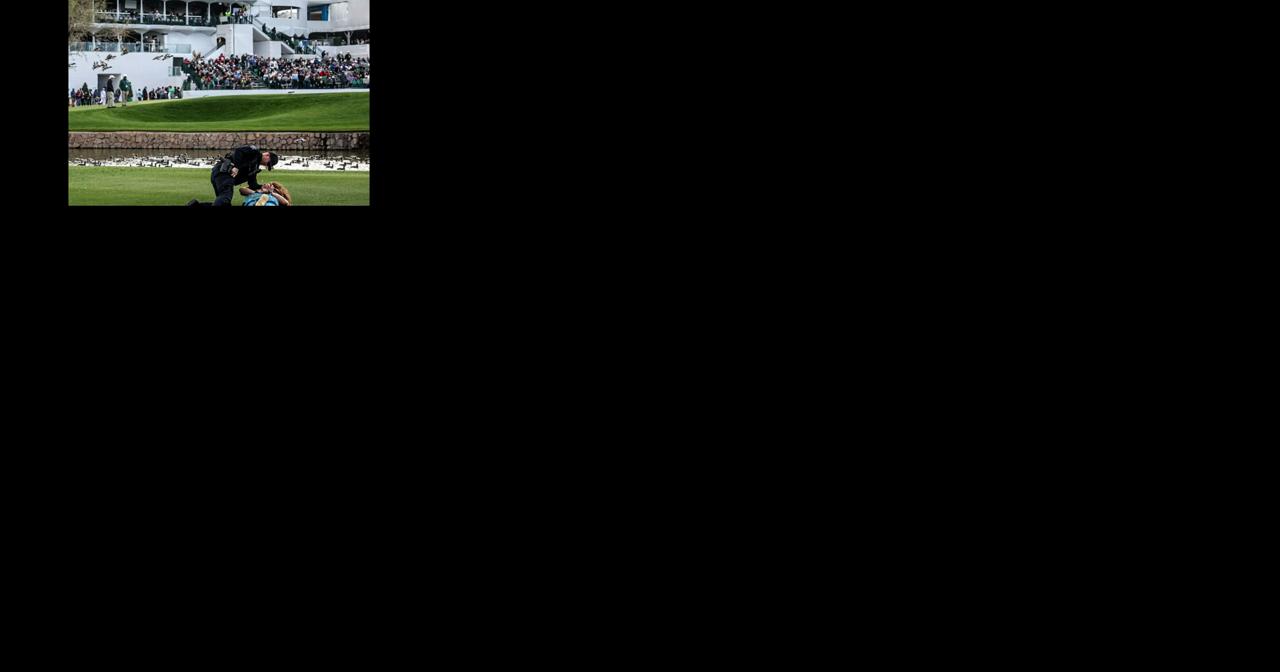 Some say Phoenix Open fans went too far - Vimarsana News