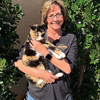Mesa woman’s new business delivers food to pets | Business