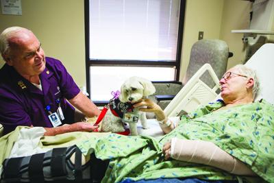 East Valley Man Dog Share Calming Gift Through Volunteer Work