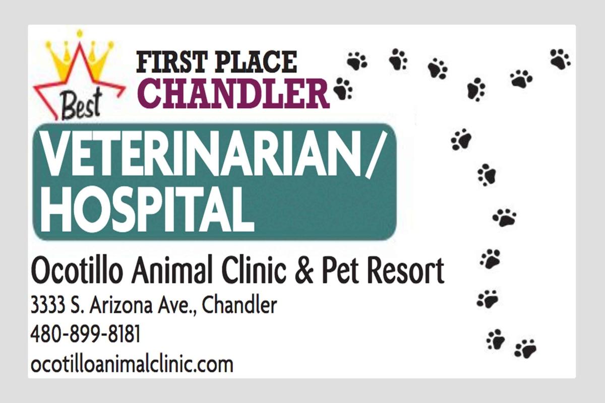 Ocotillo Animal Clinic & Pet Resort 3333 S. Arizona Ave, Chandler |  Business And Services 