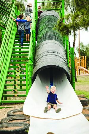 Fall fun on tap at Vertuccio Farms
