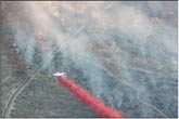 E.V.’s Ghost fire chars up to 600 acres 