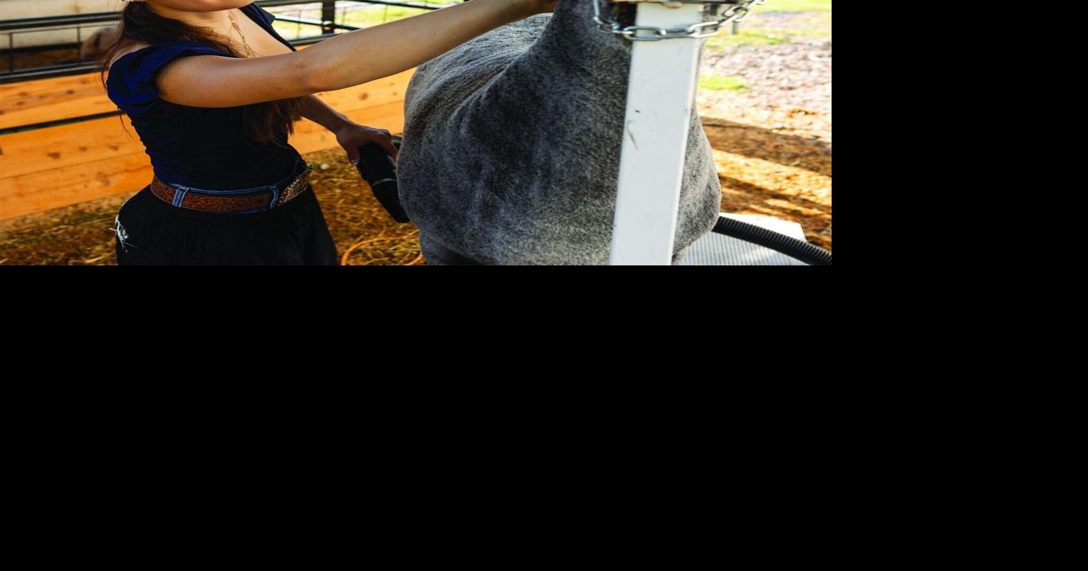 Chandler High senior is a champion young farmer