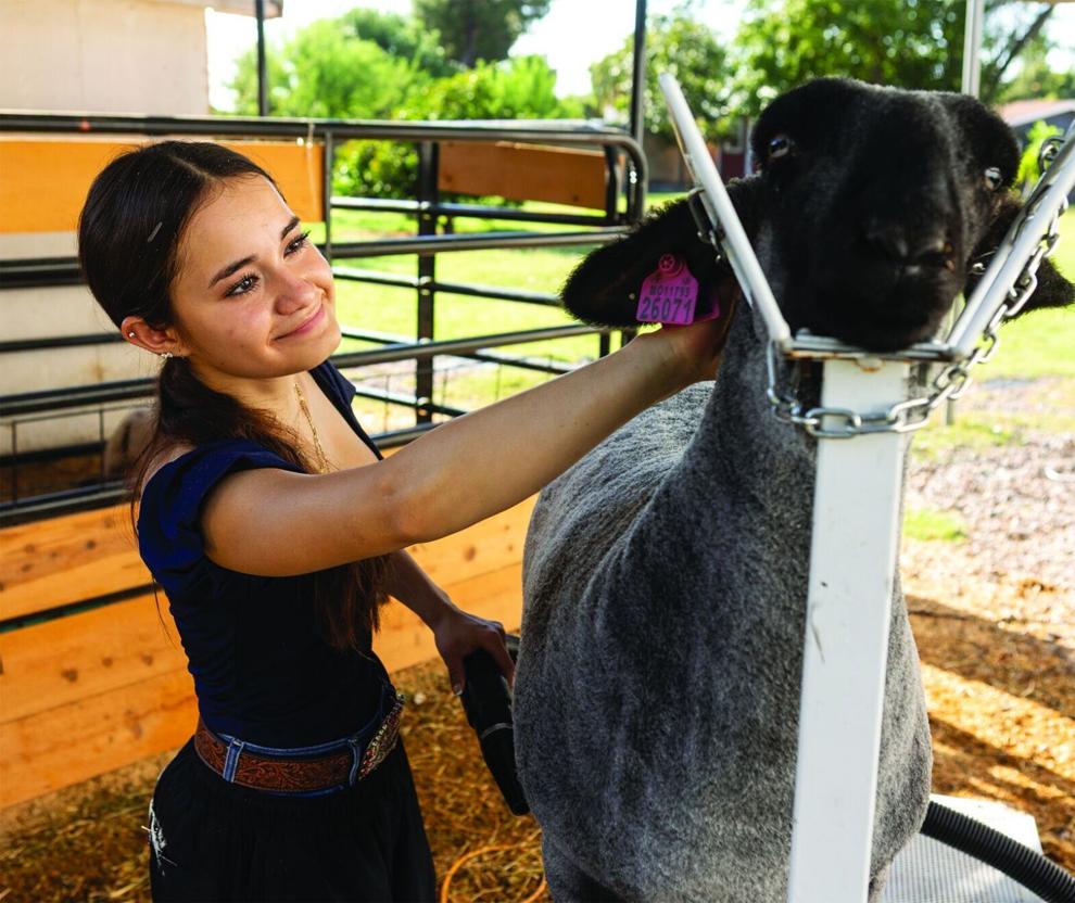 Chandler High senior is a champion young farmer