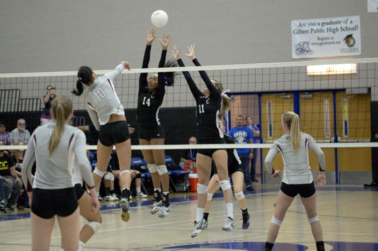 Photos Hamilton vs. O'Connor 11/9/2013 Photos & Video