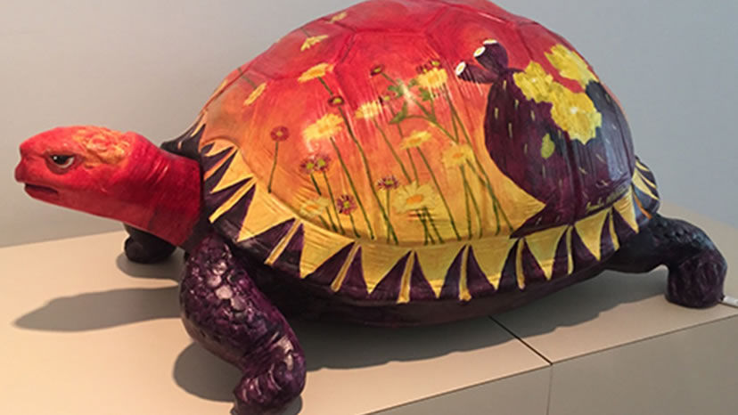 Tortoise Project & Wild at Art exhibition | Get Out | eastvalleytribune.com
