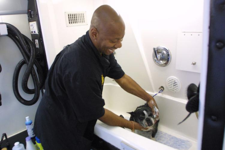 Gilbert resident finds ‘perfect occupation’ as traveling dog groomer