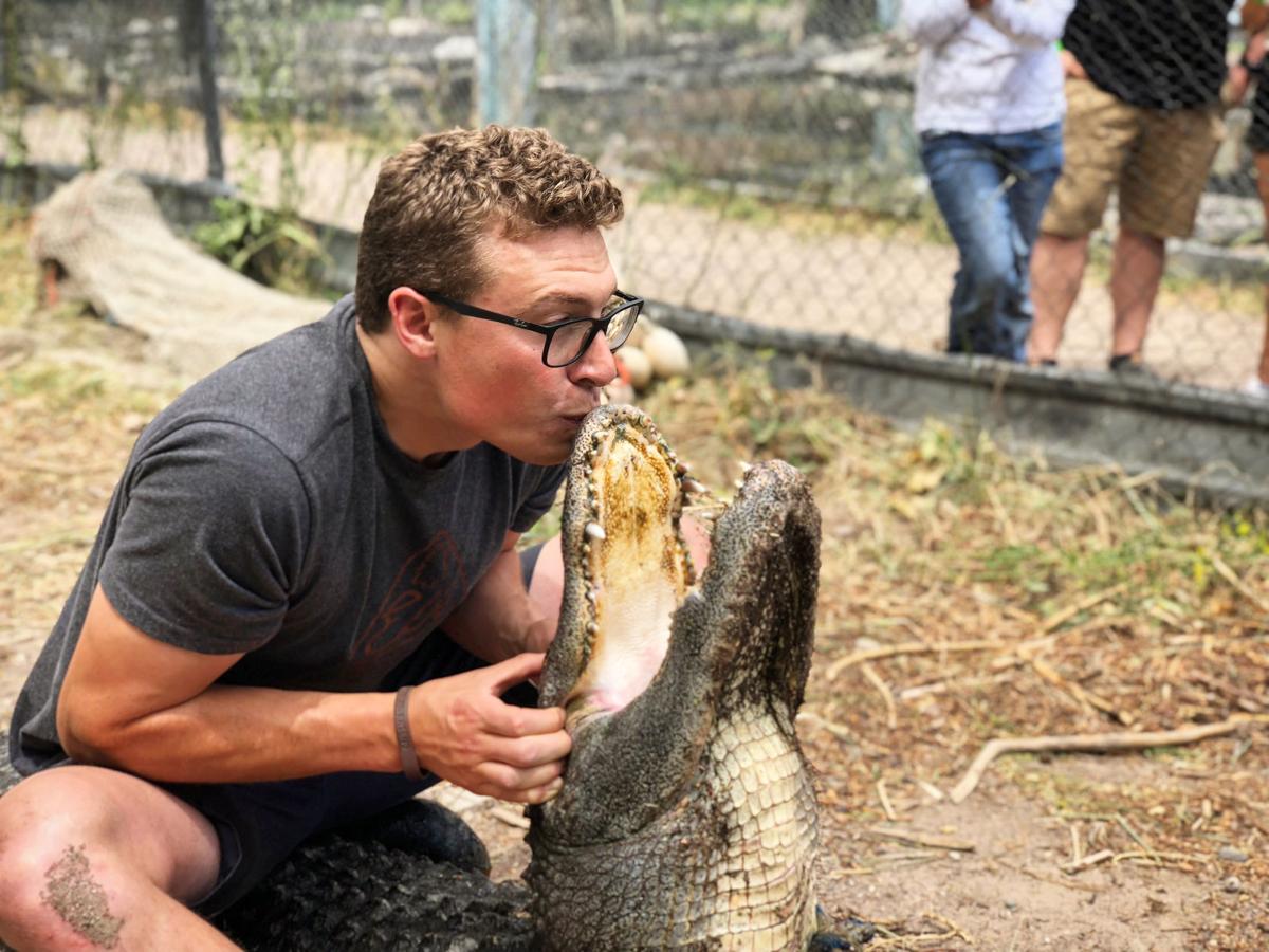 Gator