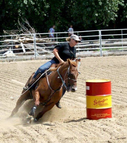 Stewardson gets a horse arena Local News