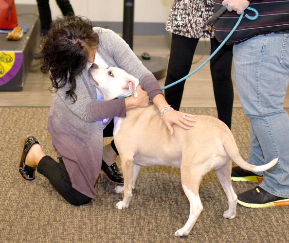 Mardi Gras Gala to support Humane Society draws crowd Local News