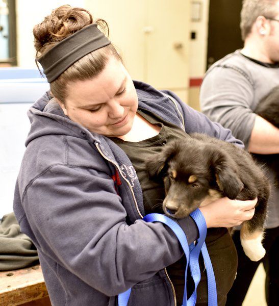 Beecher City FFA holds pet clinic | Local News ...