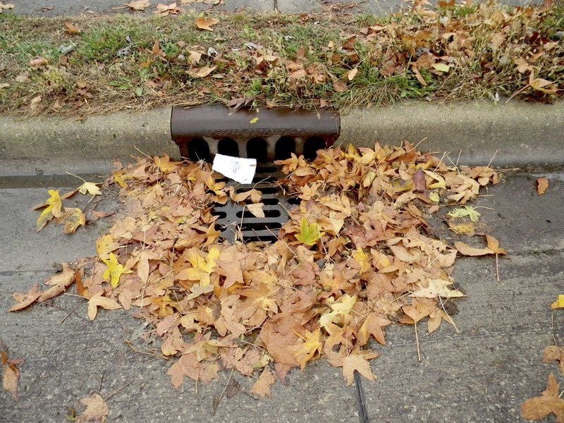 Autumn Woes Leaves Clogging Storm Sewer Drains Across The Region Local News