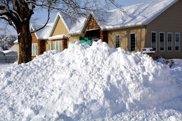 snowday 7.jpg