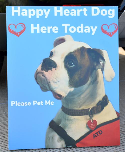 20190914-nws-therapy-dogs-pic4