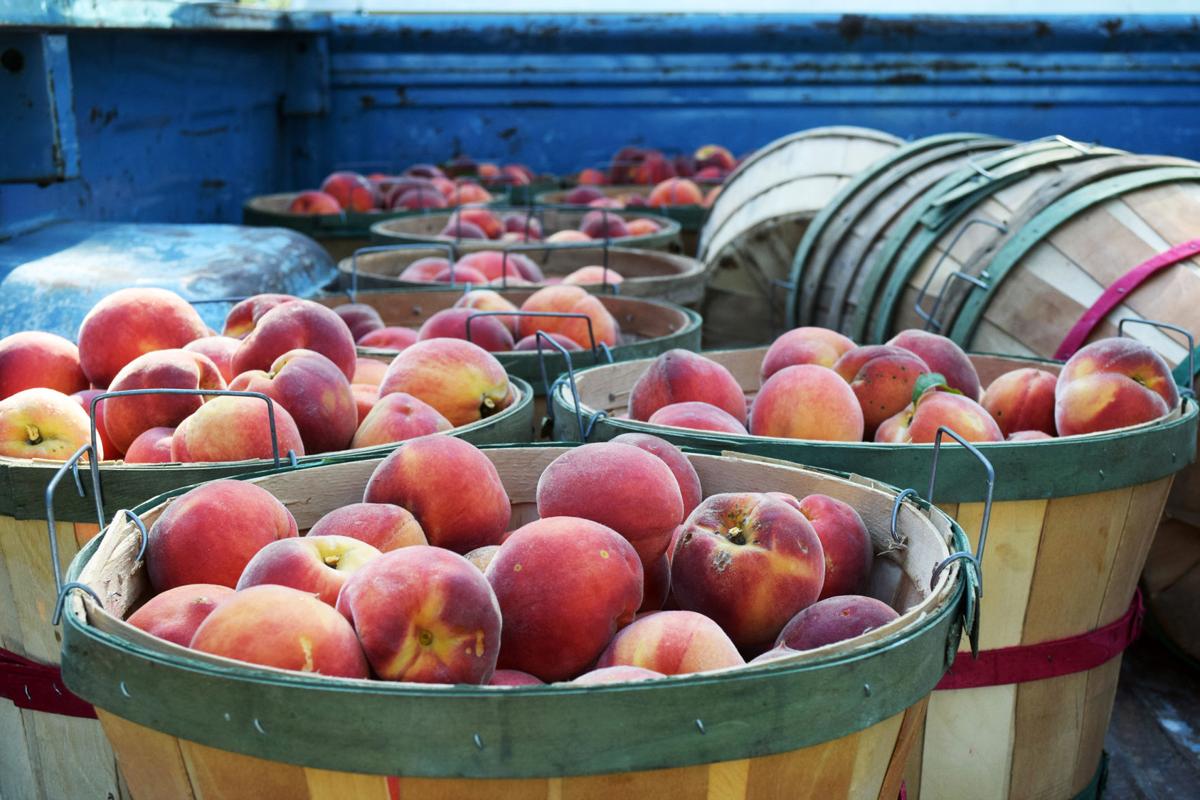 Fruit crop plentiful despite frost threat | Farm Fair 2017 | effinghamdailynews.com