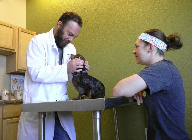 New animal hospital offers chiropractic care for pets Local News