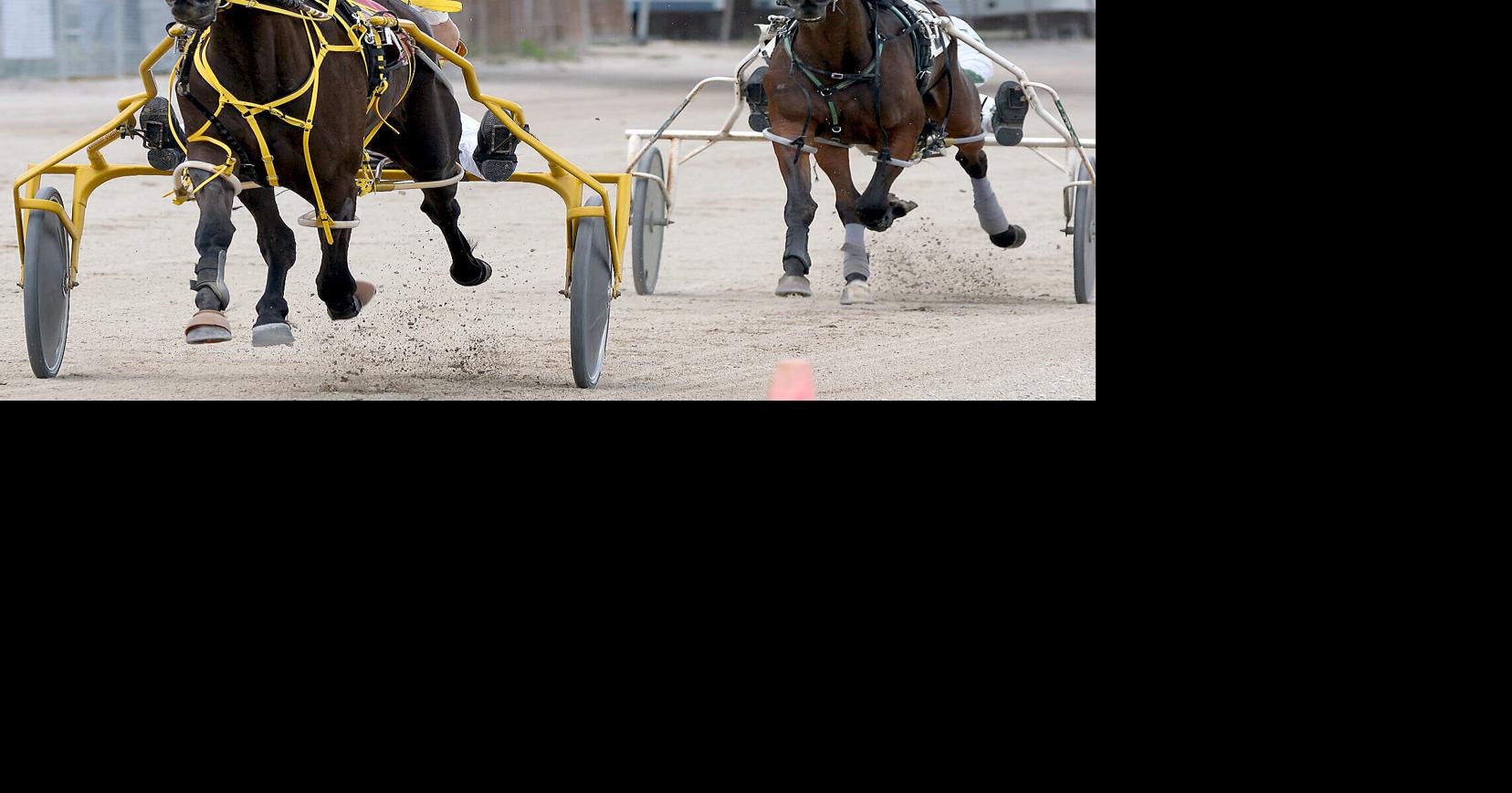 Effingham County Fair returns with new harness racing series ...