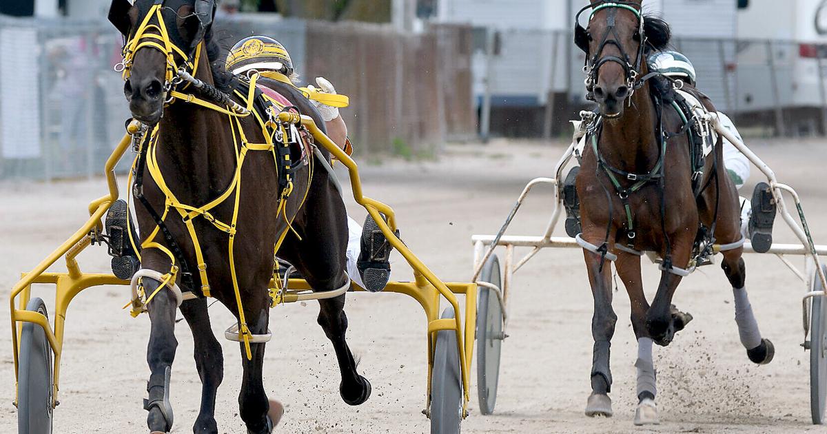Harness Racing Farm Effingham County Fair returns with new harness racing series ...