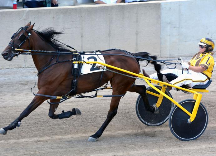 Harness racing continues around state | 2020 Farm Fair ...
