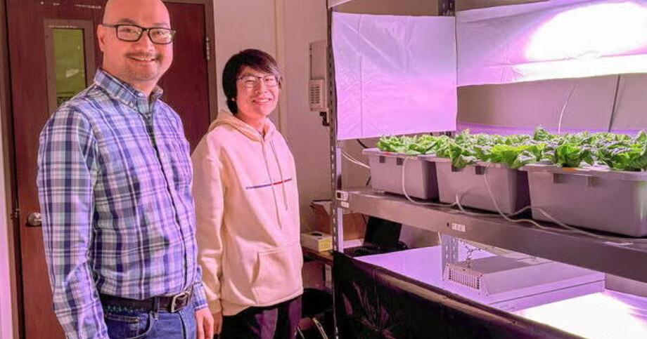 U of I's new controlled environment research facility advances indoor farming with stakeholder input