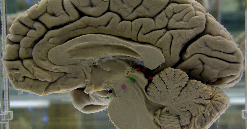 Challenging your brain helps keep it healthy. Here's how to do it