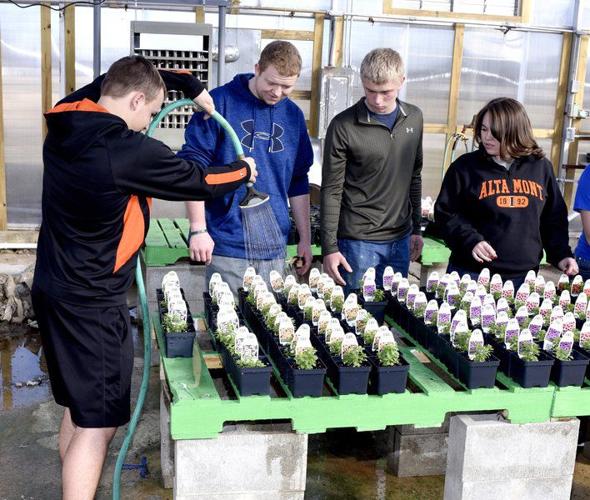 School, community breathe new life into greenhouse Local News