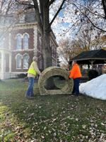 Wonderland in Lights brings holiday spirit to Effingham